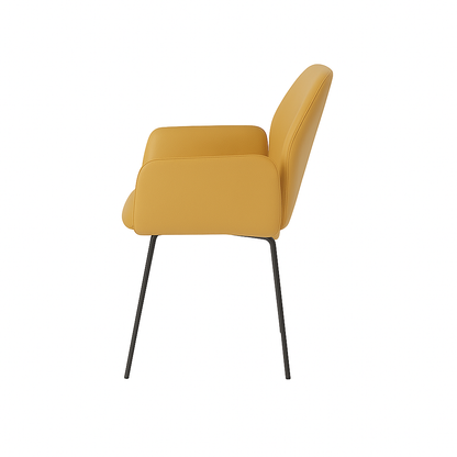 Scaun piele ALBASTRA | model PETRA